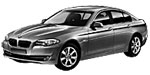 BMW F10 P1037 Fault Code